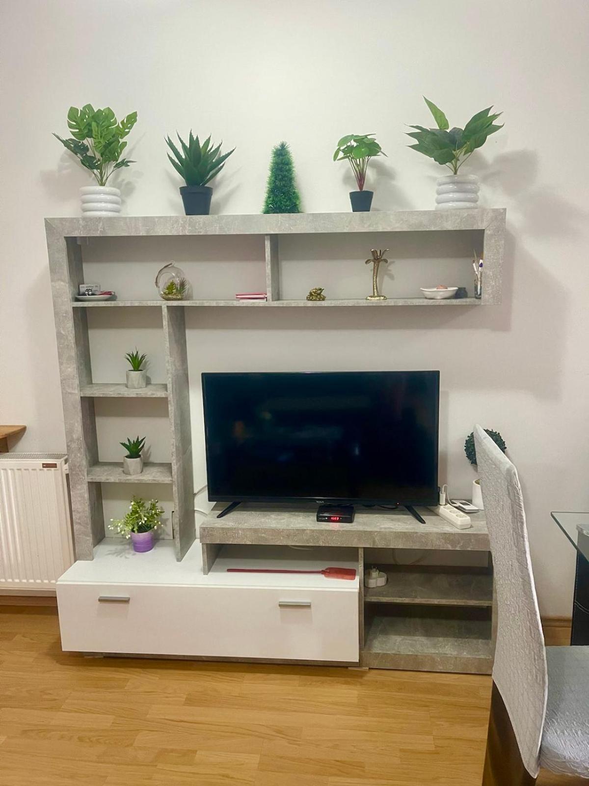 Vila Mija Zlatibor Zewnętrze zdjęcie